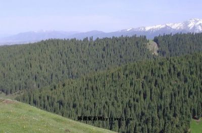 南山天然风景区