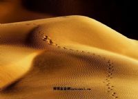 塔克拉玛干沙漠探险观光旅游区