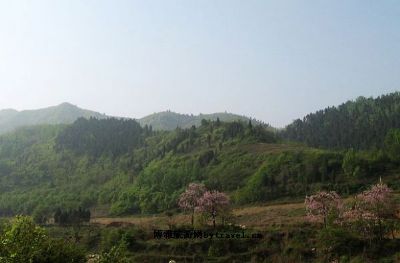 陕西太平国家森林公园