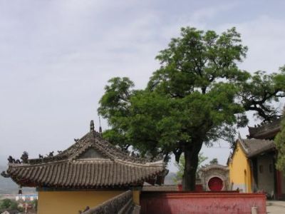 宝鸡金顶寺