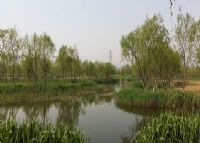 永定河湿地公园