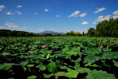 北京房山长沟泉水湿地公园