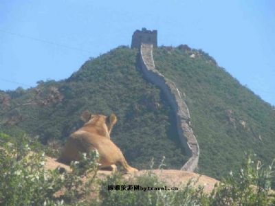 八达岭野生动物园