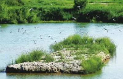 西安渭河生态水利风景区