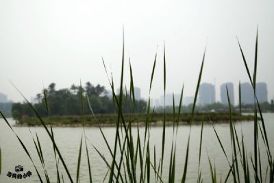 汉太液池遗址