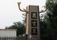 北京鹿世界牧场