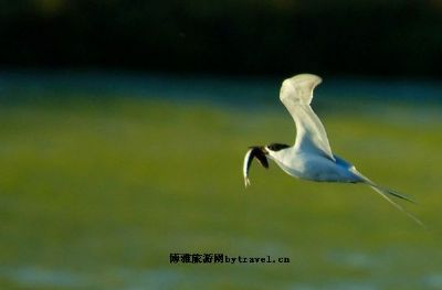 延庆鸟类湿地自然保护区