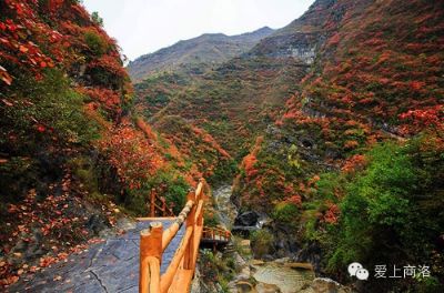 天蓬山寨景区