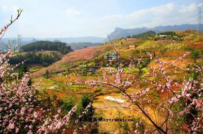 桃花山庄