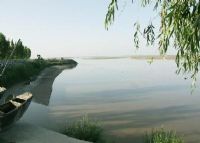 大荔黄河滩黄河湿地自然保护区