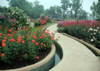 蒲城紫荆公园