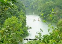 隆安龙虎山自然保护区