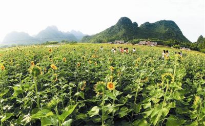 新岭村新归屯