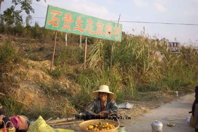 石贵生态农业旅游村