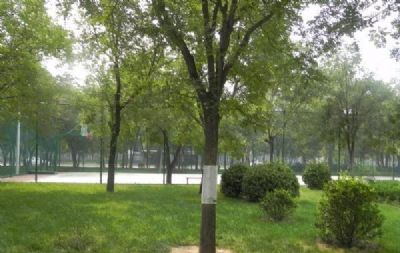 衡水中华公园