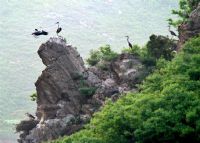 宽城千鹤山鸟类自然保护区