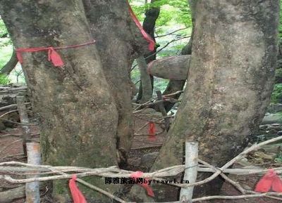 历山皇姑幔景区