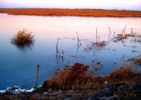 运城湿地自然保护区