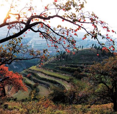 孤峰山风景区