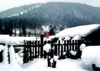 顿村国际滑雪