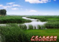 广灵县湿地