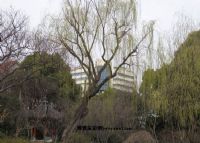 漕溪公园