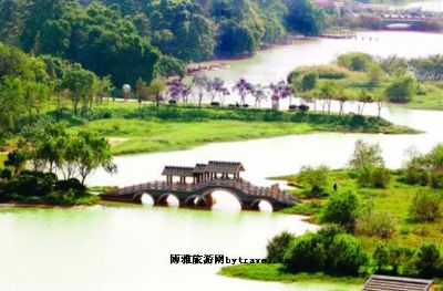 朱泾镇金山公园