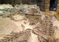 大山铺恐龙化石群埋藏遗址