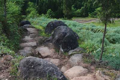 荔枝古道