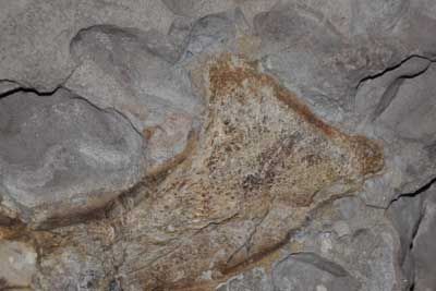 安岳恐龙化石群自然保护区
