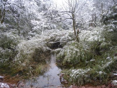 秘境大雪山