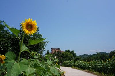 太山研学旅行基地