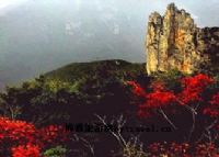 巫山十二迷宫风景区