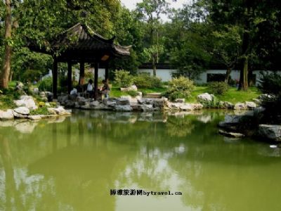 井泉中药植物园