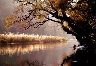 安徽秋浦河源国家湿地公园