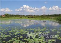 黑龙江松北国家湿地公园