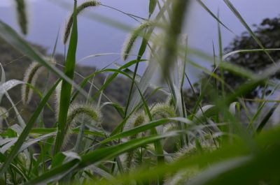 北仑森林植物园