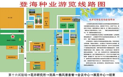 莱州登海种业有限公司