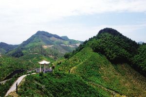 红豆仙霞景区