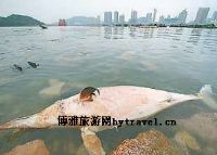 长江白暨豚国家级自然保护区