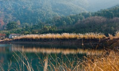 杭州西山国家森林公园