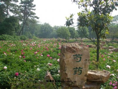 茱萸湾风景区