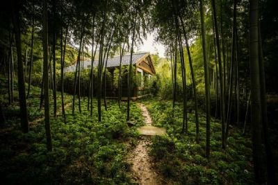 天目湖南山竹海景区