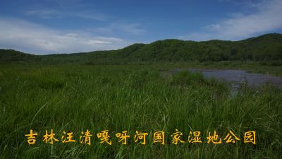 吉林汪清嘎呀河国家湿地公园