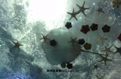 青岛水族馆（青岛海产博物馆、青岛海洋科技馆）