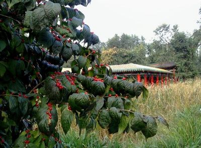 沈阳夏芳园