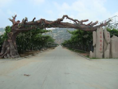 大泽山葡萄观光园（大泽山风景名胜区）