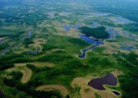 大沾河湿地自然保护区