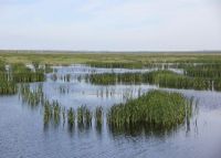 明水湿地自然保护区