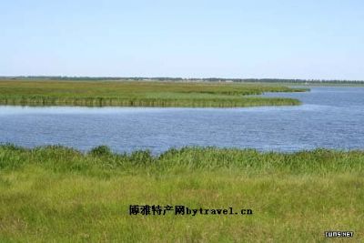 苇场湿地丹顶鹤自然保护区